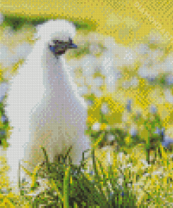 Silkie Chicken Bird Diamond Painting