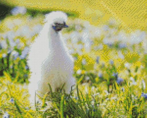 Silkie Chicken Bird Diamond Painting