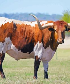 Texas Longhorn Cattle Diamond Painting