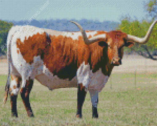 Texas Longhorn Cattle Diamond Painting