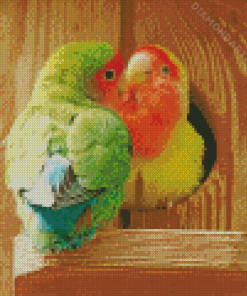 Two Rosy Faced Lovebirds Diamond Painting