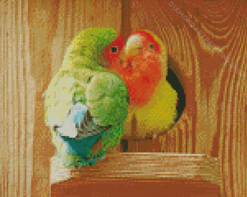 Two Rosy Faced Lovebirds Diamond Painting