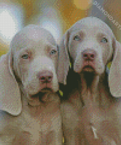 Weimaraner Puppy Dogs Diamond Painting