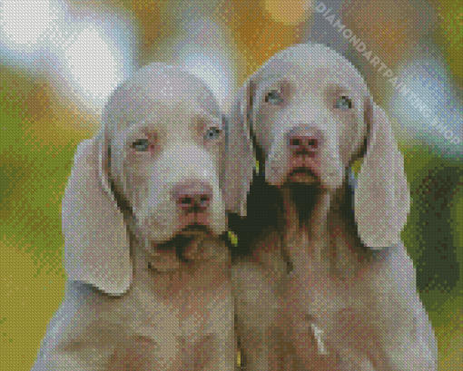 Weimaraner Puppy Dogs Diamond Painting