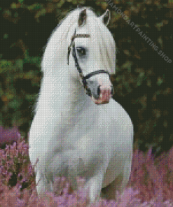 White Welsh Pony Animal Diamond Painting