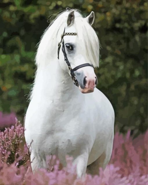 White Welsh Pony Animal Diamond Painting