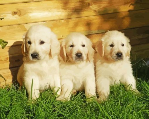 White Golden Retriever Puppies Diamond Painting