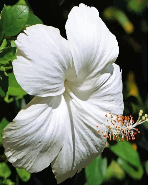 White Hibiscus Flower Diamond Painting