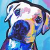 Abstract Pitbull Dog Diamond Painting