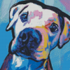 Abstract Pitbull Dog Diamond Painting