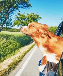 Adorable Dog And Car Diamond Painting