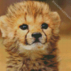 Aesthetic Cheetah Baby Diamond Painting