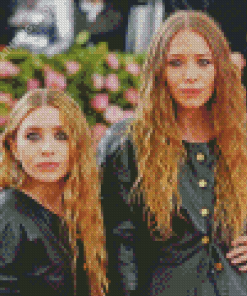 Cool Mary Kate And Ashley Diamond Painting