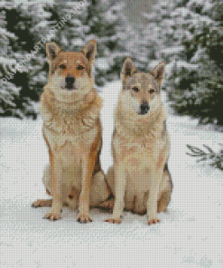 Cute Wintry Wolves Diamond Painting