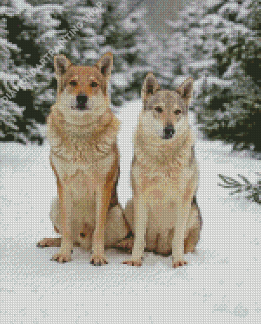 Cute Wintry Wolves Diamond Painting