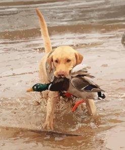 Dog Hunting Duck Diamond Painting