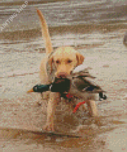 Dog Hunting Duck Diamond Painting