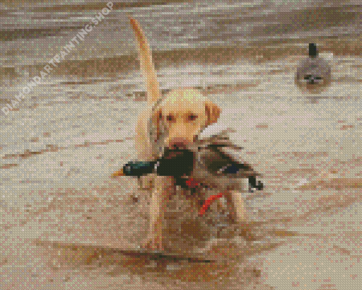 Dog Hunting Duck Diamond Painting