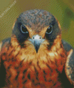 Eagle Bird Portrait Diamond Painting