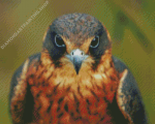 Eagle Bird Portrait Diamond Painting