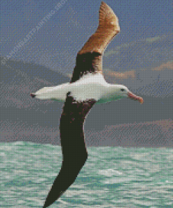 Flying Albatross Diamond Painting