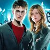 Harry Potter And Ginny Weasley Diamond Painting