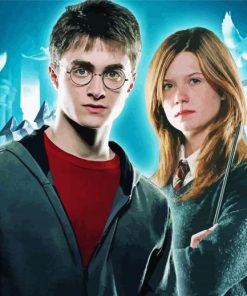 Harry Potter And Ginny Weasley Diamond Painting