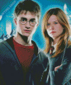 Harry Potter And Ginny Weasley Diamond Painting