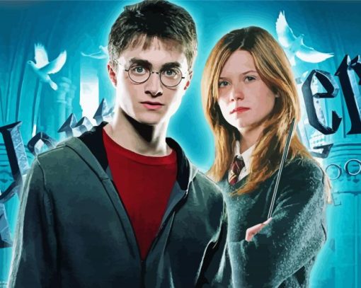 Harry Potter And Ginny Weasley Diamond Painting