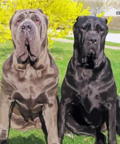 Neapolitan Mastiff Dogs Diamond Painting