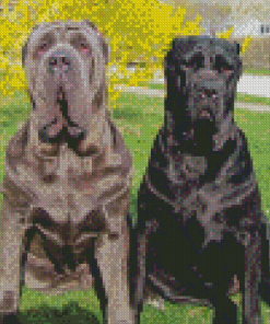 Neapolitan Mastiff Dogs Diamond Painting