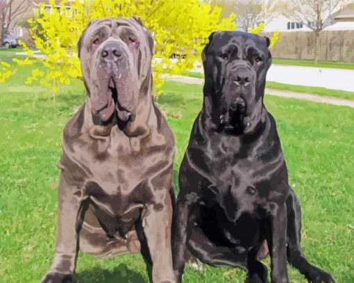 Neapolitan Mastiff Dogs Diamond Painting