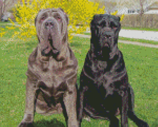 Neapolitan Mastiff Dogs Diamond Painting