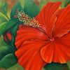 Orange Hibiscus Diamond Painting