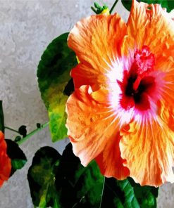 Orange Hibiscus Flowers Diamond Painting