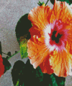 Orange Hibiscus Flowers Diamond Painting