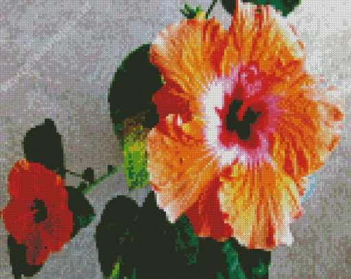 Orange Hibiscus Flowers Diamond Painting