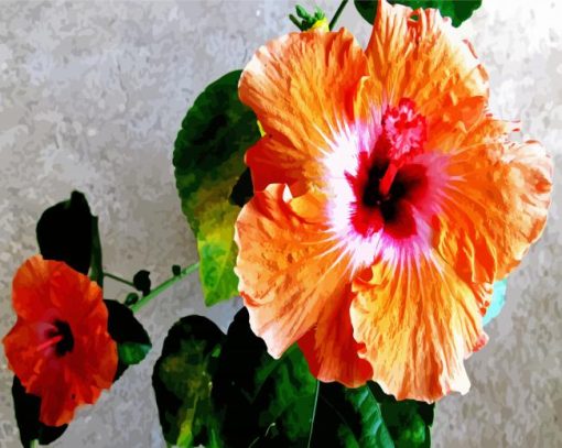 Orange Hibiscus Flowers Diamond Painting