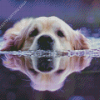 Reflection Dog Swimming Diamond Painting