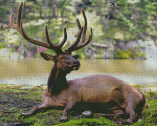 Relaxing Deer By The River Diamond Painting