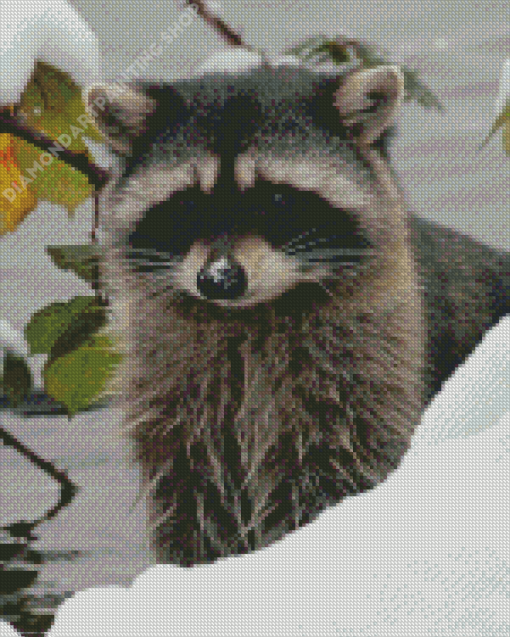 Snow Raccoon Animal Diamond Painting