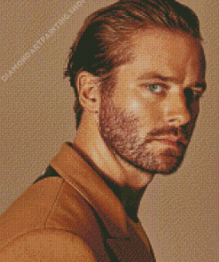 The American Actor Armie Hammer Diamond Painting