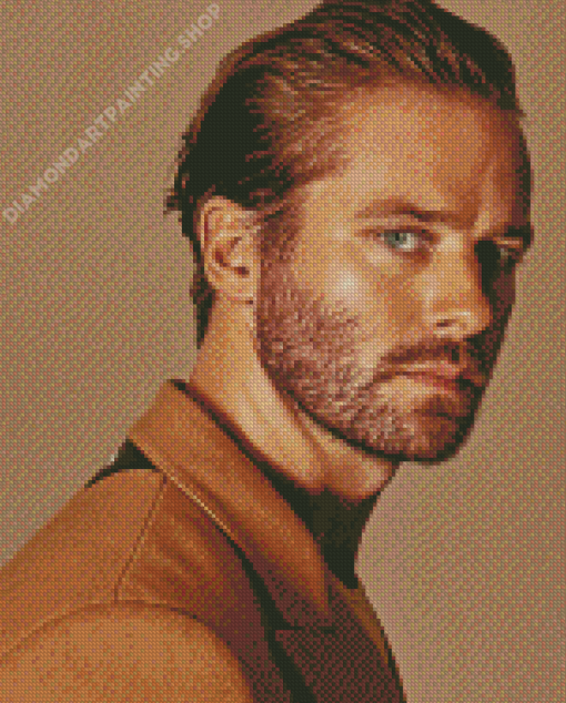 The American Actor Armie Hammer Diamond Painting