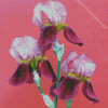 Three Pink Iris Flowers Diamond Painting