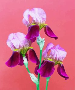 Three Pink Iris Flowers Diamond Painting