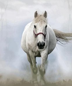 White Mare Horse Diamond Painting