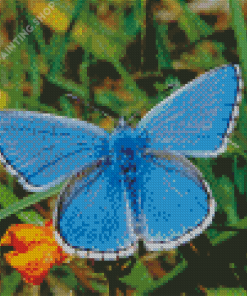 White And Blue Butterfly Diamond Painting