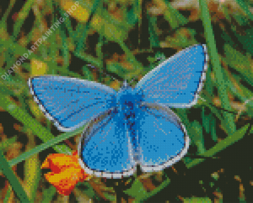 White And Blue Butterfly Diamond Painting