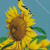 Yellow Finch Bird On Sunflower Diamond Painting