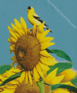 Yellow Finch Bird On Sunflower Diamond Painting